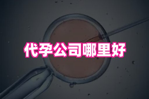 福建助孕网站 3